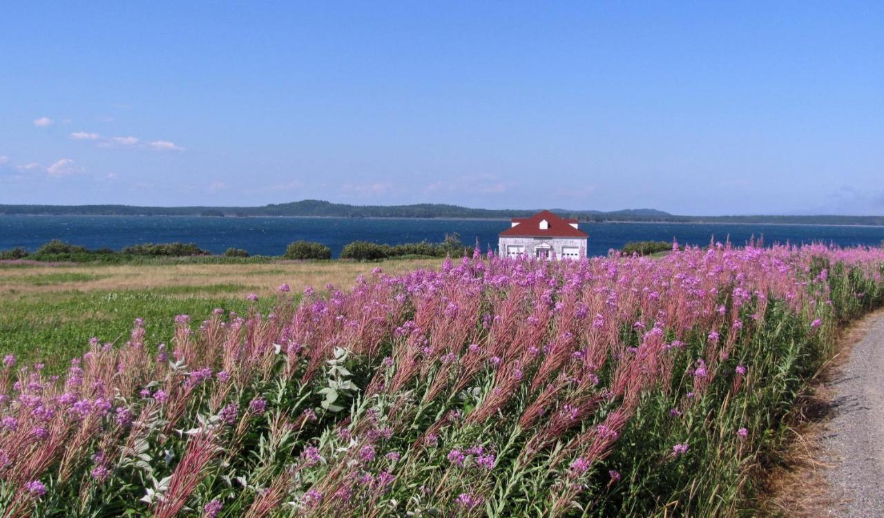Отель West Quoddy Station Llc Lubec Экстерьер фото